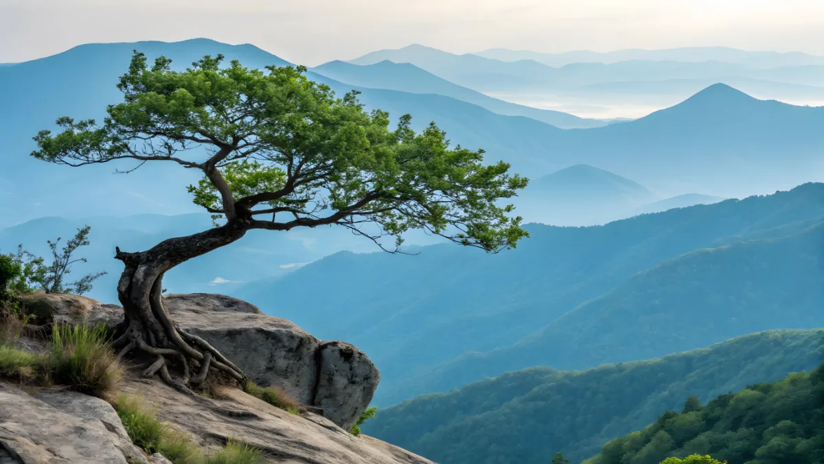 Panorama con albero che rappresenta l'essenza dell'approccio fenomelogico esistenziale in psicoterapia