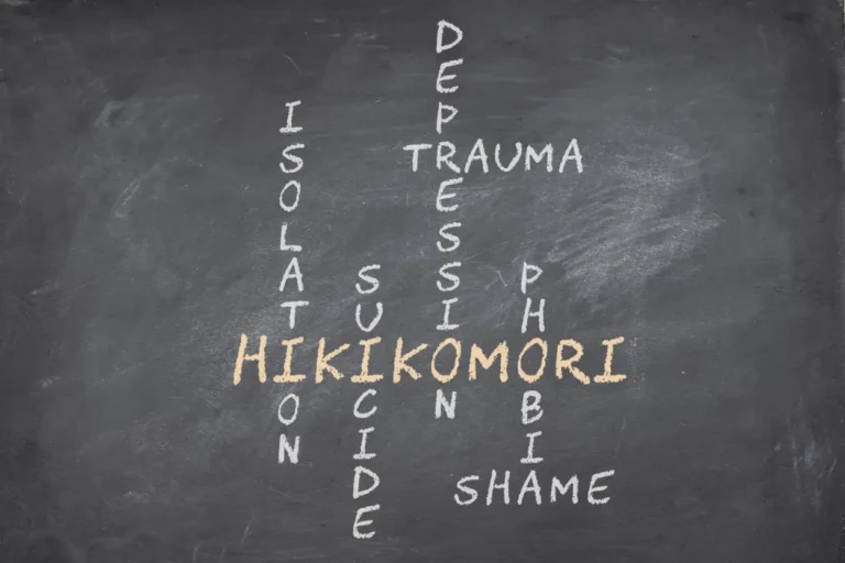 Hikikomori Sindrome