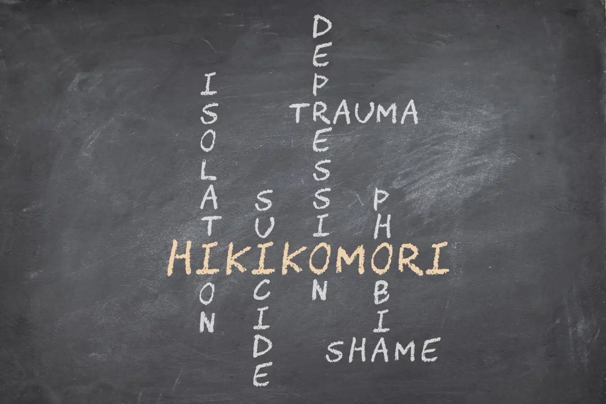 Hikikomori Sindrome